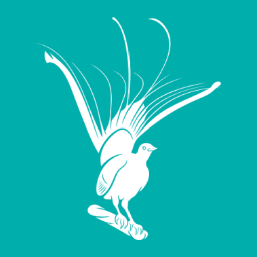 lyrebirdcap.com favicon